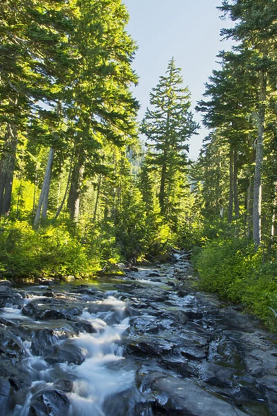 Paradise River, Mount Rainier National Park, Washington, USA