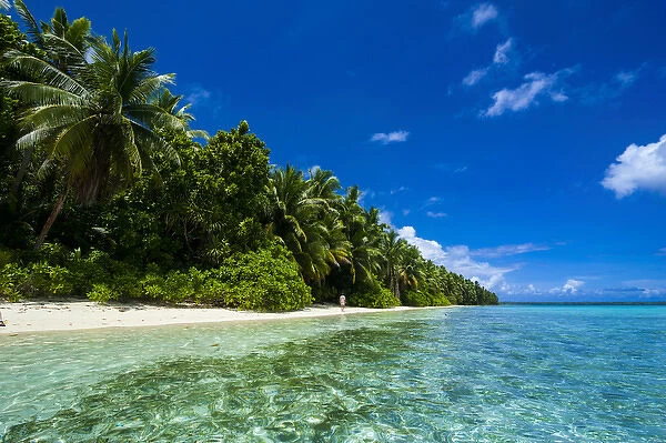 Paradise white sand beach in turquoise water in the Ant Atoll, Pohnpei, Micronesia