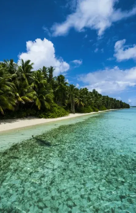 Framed Print : Paradise white sand beach in turquoise water in the Ant Atoll, Pohnpei, Micronesia Framed Print : Paradise white sand beach in turquoise water in the Ant Atoll, Pohnpei, Micronesia