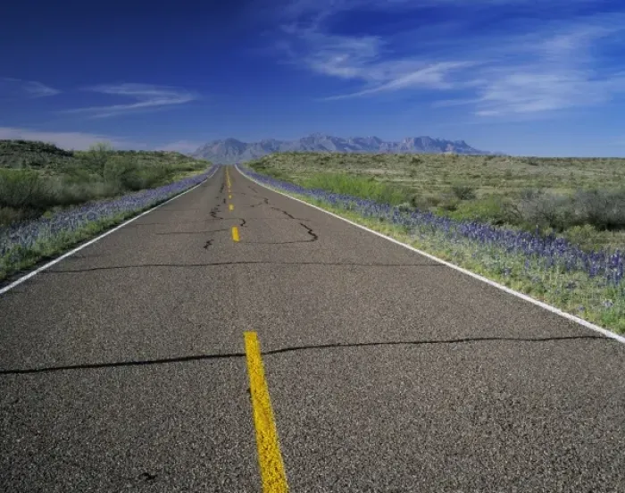 Framed Print : Park Road and Big Bend Bluebonnets, Big Bend National Park, Texas, USA Framed Print : Park Road and Big Bend Bluebonnets, Big Bend National Park, Texas, USA