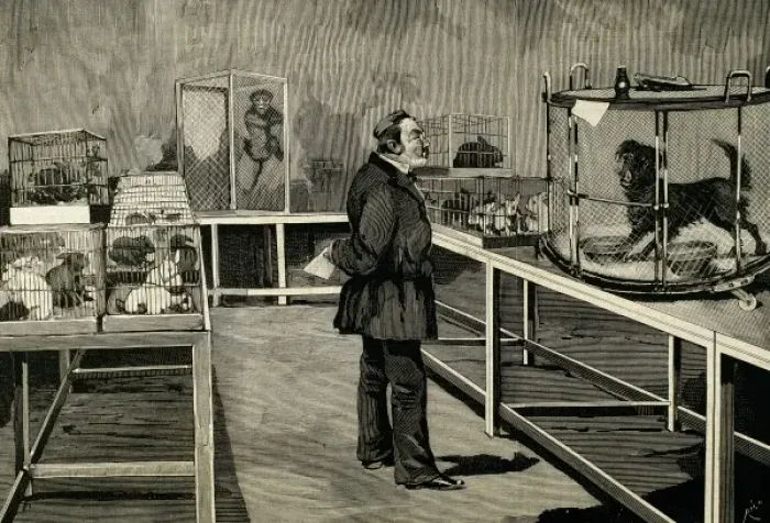 Framed Print : PASTEUR, Louis (1822-1895) French chemist and bacteriologist. Pasteur observes