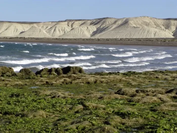 Framed Print : Patagonian coast Framed Print : Patagonian coast