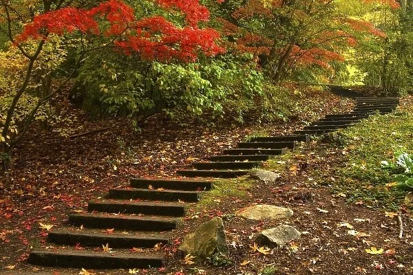 Path through a park in Autumn