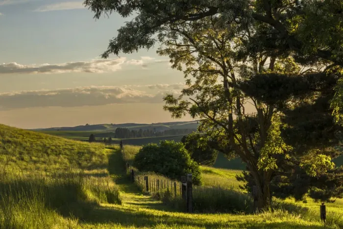 Framed Print : Pathway along fence in evening light, Palouse region of eastern Washington