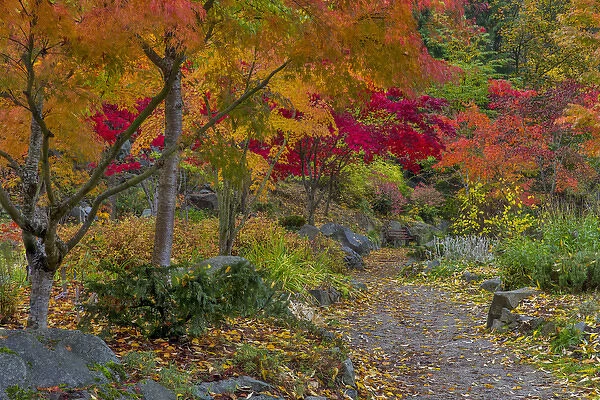 Pathway leads to park bench in autumn at Japanese Gardens in Nelson, British Columbia