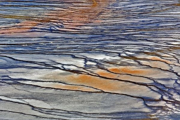 Pattern in bacterial mat around perimeter of Grand Prismatic Spring, Midway Geyser Basin