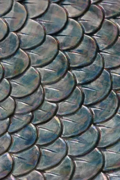 Framed Print : Pattern in ceramic dish, Florida