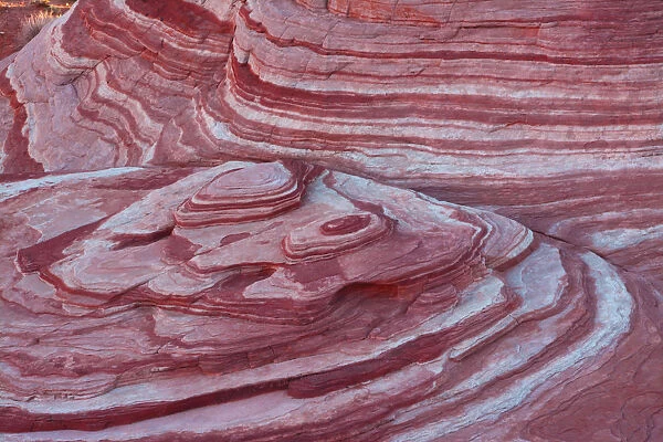 Pattern, Fire Wave, Valley of Fire State Park, Nevada, USA