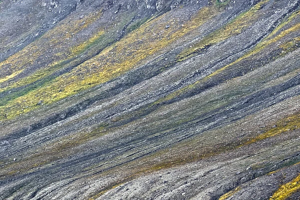Pattern on mountain slope, Svalbard, Norway