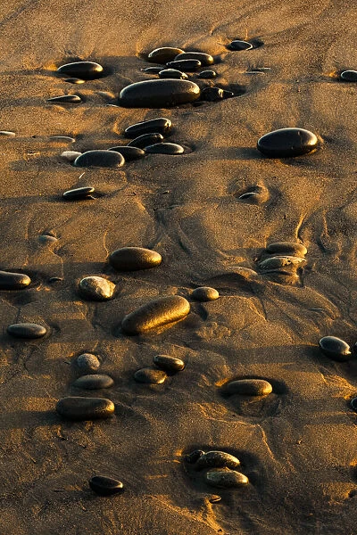 Pattern of smooth round stones on beach at sunset, Olympic National Park, Washington State