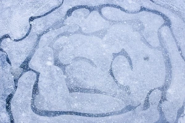 Patterns in a frozen puddle