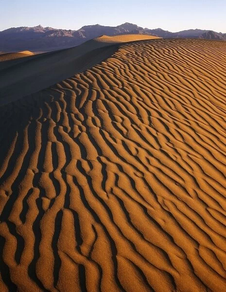 patterns in the sand at Mesquite Sand dunes in Death Valley National Park, CA Credit as