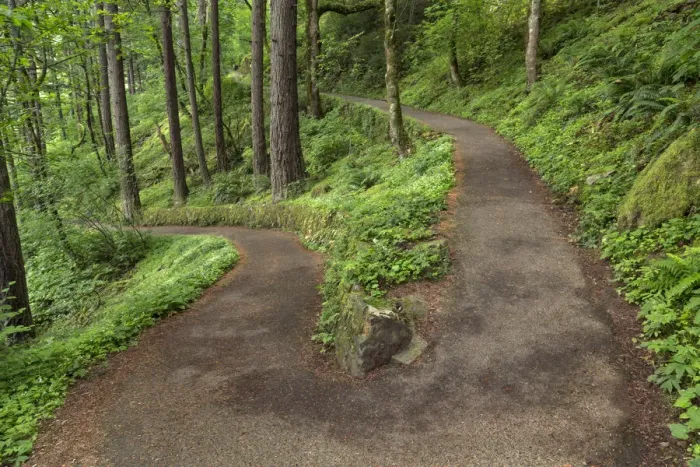 Framed Print : Paved pathway through forest, Columbia River Gorge, Oregon