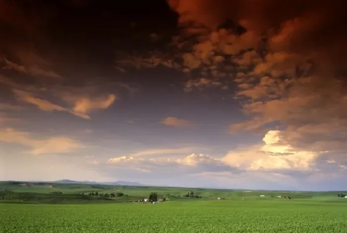 Framed Print : Pea fields and clouds in North Idaho Framed Print : Pea fields and clouds in North Idaho