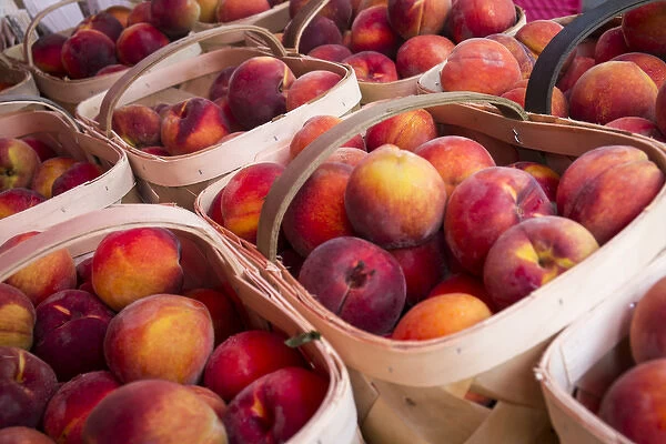 Peaches for sale at a farmers market, Charleston, South Carolina. USA