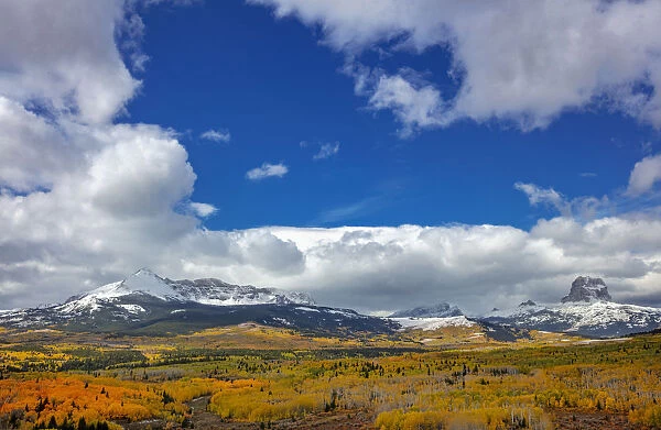 Peak fall color in aspen groves below Yellow and Chief Mountains in Glacier National Park