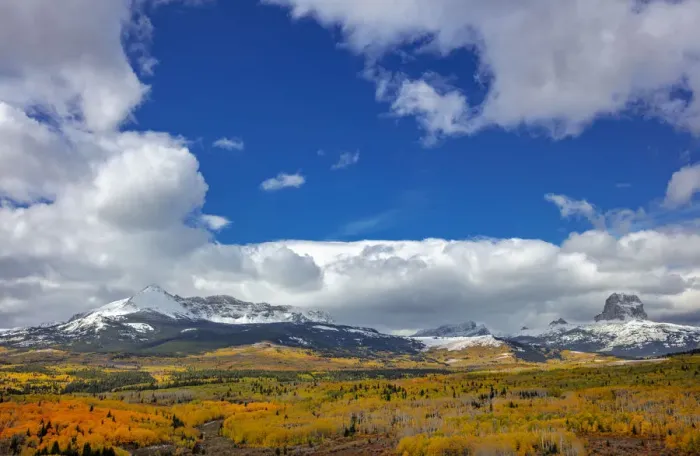 Framed Print : Peak fall color in aspen groves below Yellow and Chief Mountains in Glacier National Park Framed Print : Peak fall color in aspen groves below Yellow and Chief Mountains in Glacier National Park