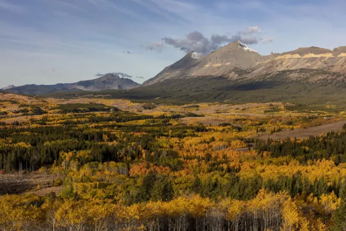 Framed Print : Peak fall color at Marias Pass in Glacier National Park, Montana, USA
