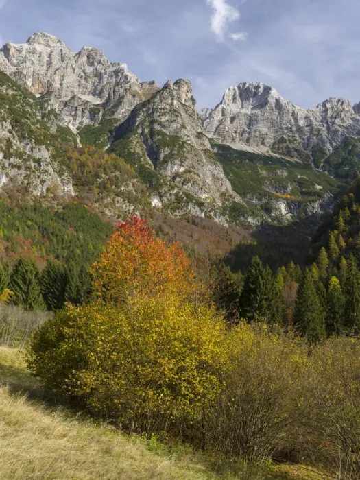 Framed Print : Peaks of Dolomiti di Brenta high above Val d Algone Dolomiti di Brenta