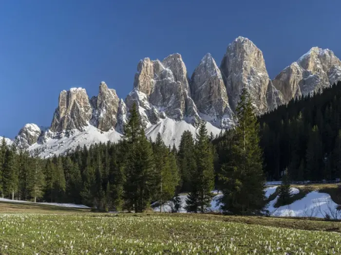 Framed Print : The peaks of the Geisler mountain range in valley Villnoess after a snow strom in spring Framed Print : The peaks of the Geisler mountain range in valley Villnoess after a snow strom in spring