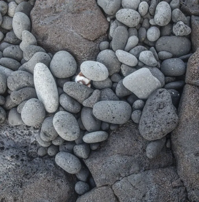 Framed Print : Pebbles on Miloli i Beach, Big Island, Hawaii