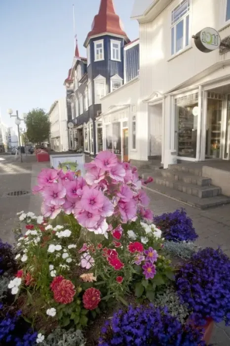 Framed Print : Pedestrian street decorated with flower displays add to the charm of Iceland s