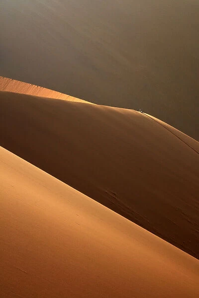 People climbing sand dunes beside Deadvlei, near Sossusvlei, Namib-Naukluft National Park
