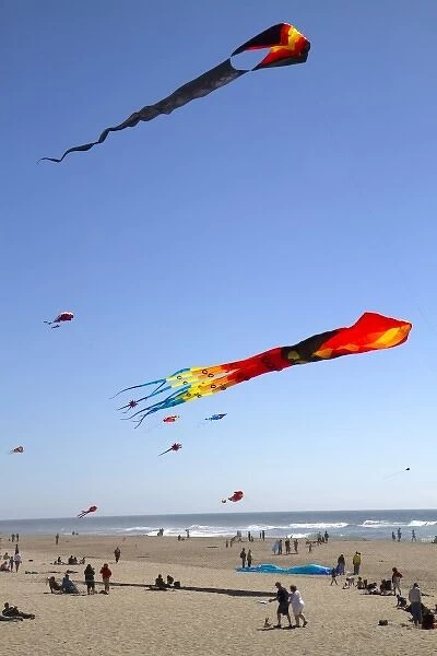 People flying kites along the D River in Lincoln City, Oregon, USA