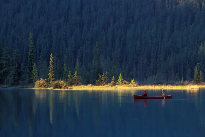 Framed Print : Two people paddle in a canoe in the early morning light, with lush forest behind them Framed Print : Two people paddle in a canoe in the early morning light, with lush forest behind them