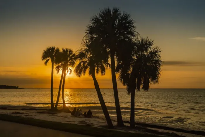 Framed Print : People sitting on the beach watching the sunrise over Old Tampa Bay Framed Print : People sitting on the beach watching the sunrise over Old Tampa Bay