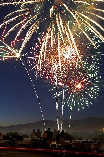 People watch a Fourth of July fireworks display in Boise, Idaho