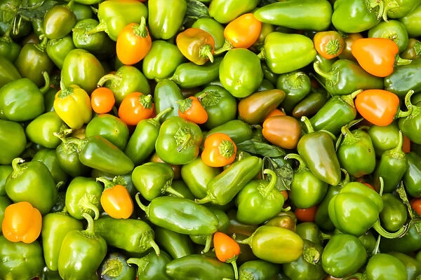 Peppers at a farmers market in the fall, New York City, New York, USA