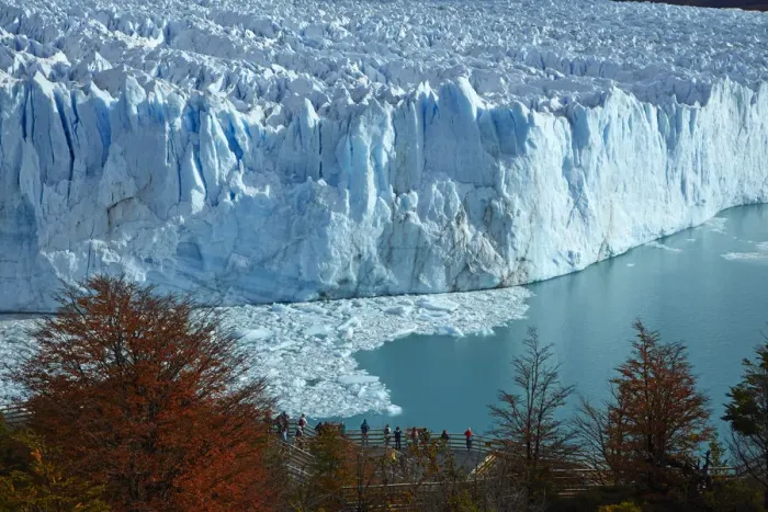 Framed Print : Perito Moreno Glacier, lenga trees in autumn and tourists on walkway, Parque Nacional Los Glaciares Framed Print : Perito Moreno Glacier, lenga trees in autumn and tourists on walkway, Parque Nacional Los Glaciares