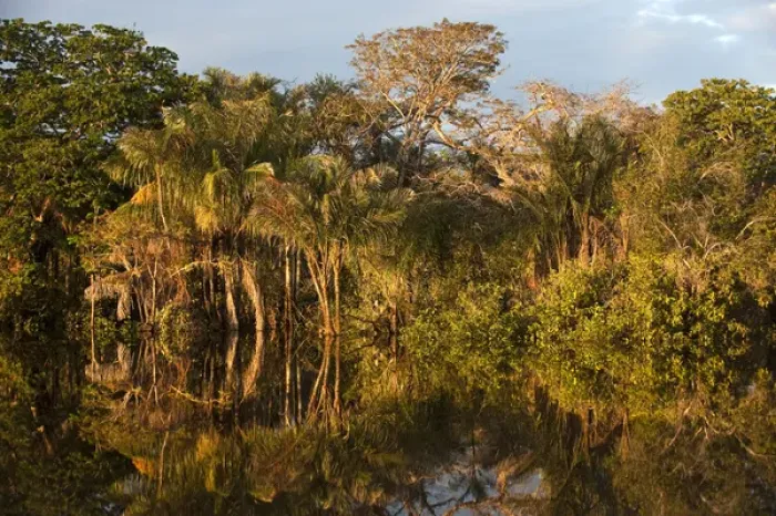 Framed Print : Permanent ponds in Savannah Rupununi GUYANA South America