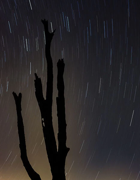 Perseus constellation meteor showing, Florida, USA