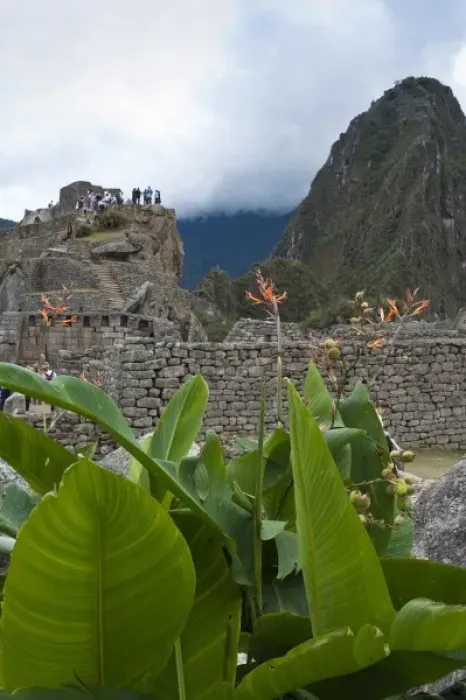 Framed Print : Peru. Ancient Inca ruins of Machu Picchu Framed Print : Peru. Ancient Inca ruins of Machu Picchu
