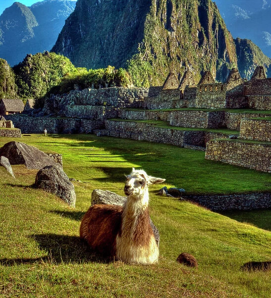 Peru, Andes, Andes