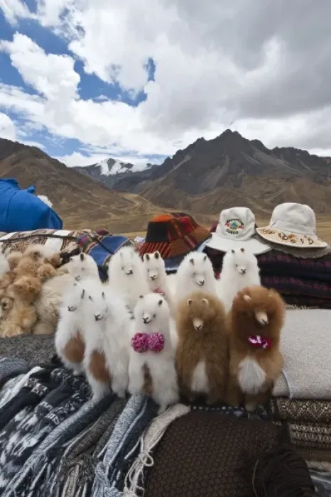 Framed Print : Peru. Feliz Viaje. Local souvenir wool llamas at the Puno les desea feliz viaje pass Framed Print : Peru. Feliz Viaje. Local souvenir wool llamas at the Puno les desea feliz viaje pass