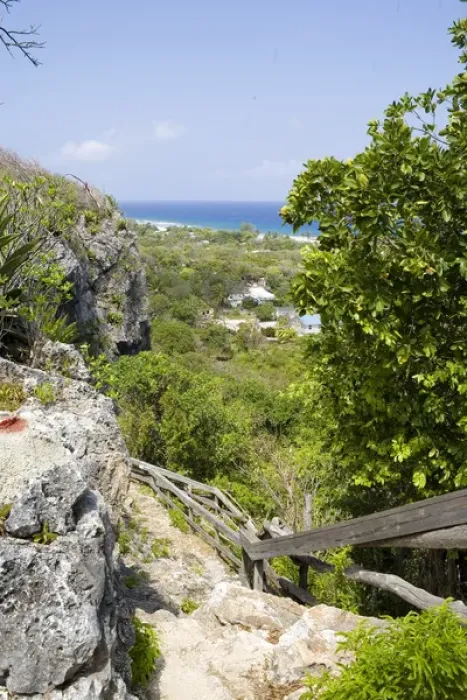 Framed Print : Peters Cave entrance, Cayman Brac, Cayman Islands, Caribbean Framed Print : Peters Cave entrance, Cayman Brac, Cayman Islands, Caribbean