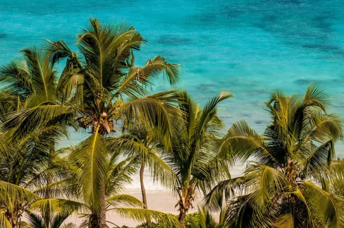 Framed Print : Petit Anse Beach at the Four Seasons Resort, Mahe, Republic of Seychelles, Indian Ocean