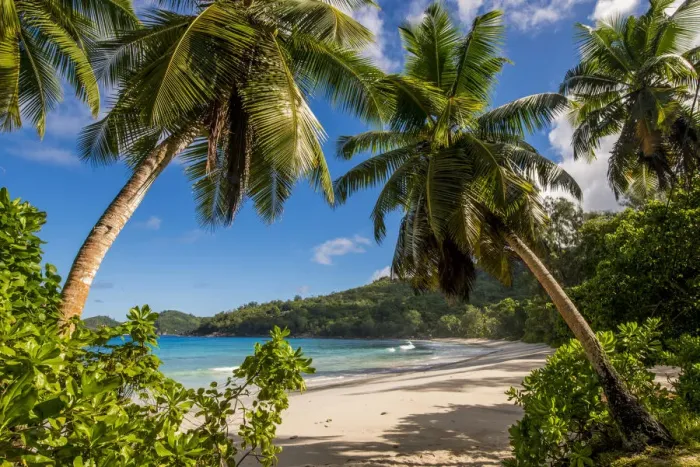 Framed Print : Petit Police Bay Beach, Mahe, Republic of Seychelles, Indian Ocean