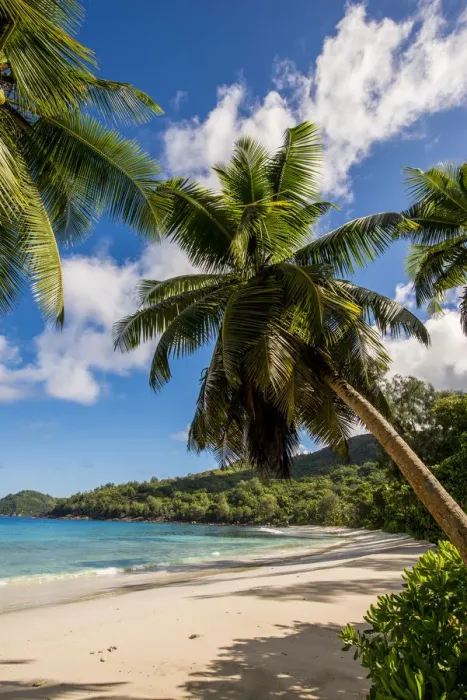 Framed Print : Petit Police Bay Beach, Mahe, Republic of Seychelles, Indian Ocean Framed Print : Petit Police Bay Beach, Mahe, Republic of Seychelles, Indian Ocean