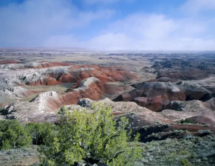 Framed Print : Petrified Forest National Park, Arizona. USA. Juniper & eroded landscape of Painted