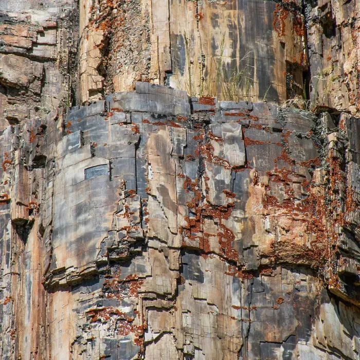 Framed Print : Petrified tree, Yellowstone National Park, Wyoming, USA Framed Print : Petrified tree, Yellowstone National Park, Wyoming, USA