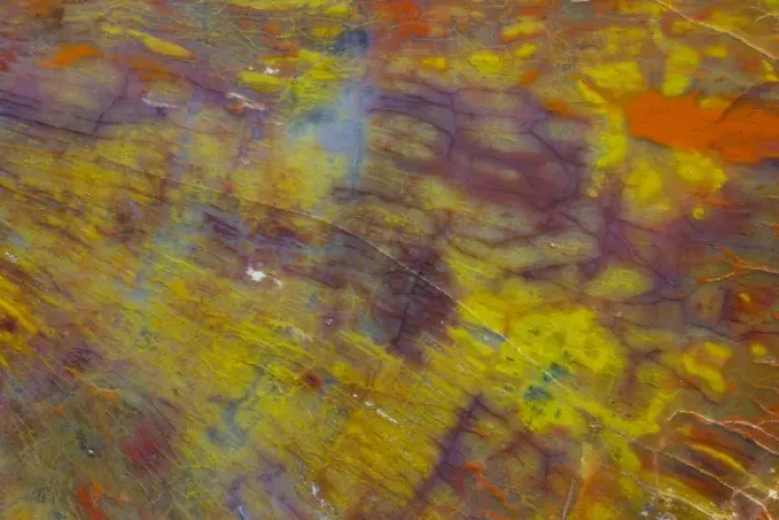 Framed Print : Petrified Wood close-up Framed Print : Petrified Wood close-up