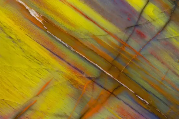 Framed Print : Petrified Wood close-up