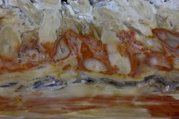 Framed Print : Petrified Wood close-up Framed Print : Petrified Wood close-up
