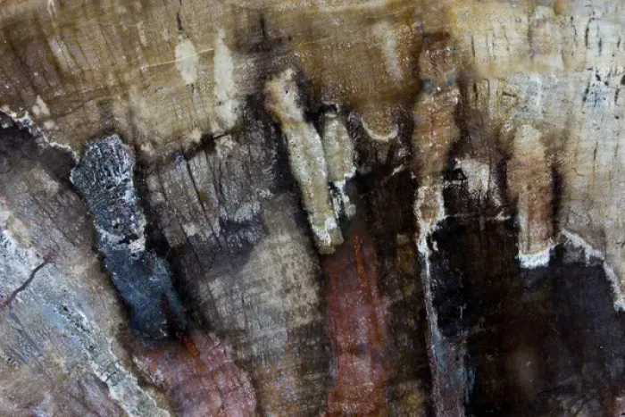 Framed Print : Petrified Wood close-up