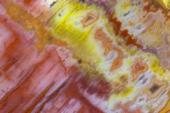 Framed Print : Petrified Wood close-up