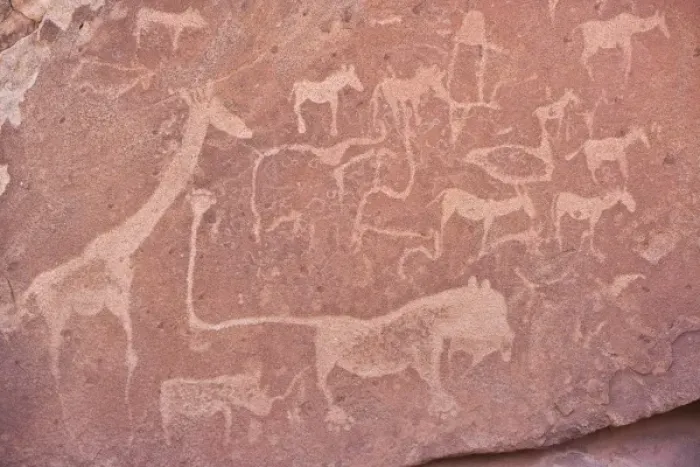 Framed Print : Petroglyph at Twyfelfontain, Namibia Framed Print : Petroglyph at Twyfelfontain, Namibia